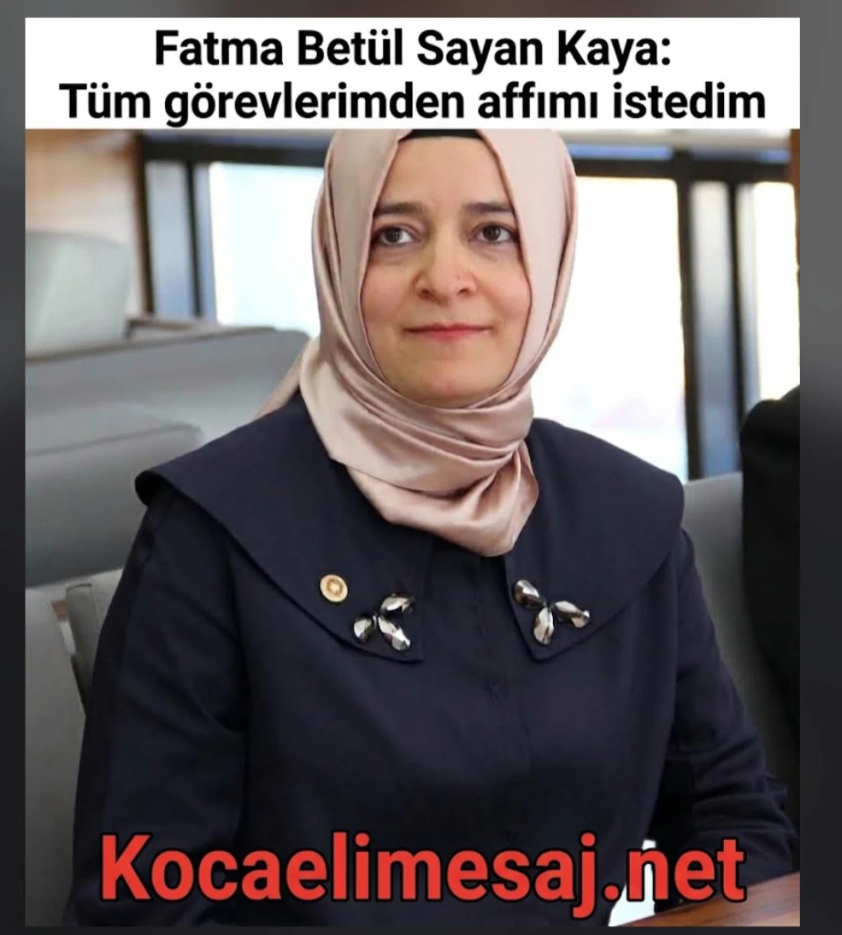 Fatma Bet&uuml;l Sayan Partisinden İstifa Etti